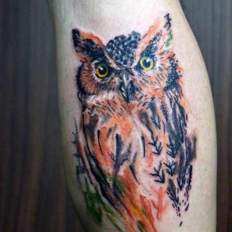 barevné tetování sovy technikou akvarel / colour tattoo of owl by technique aquarelle